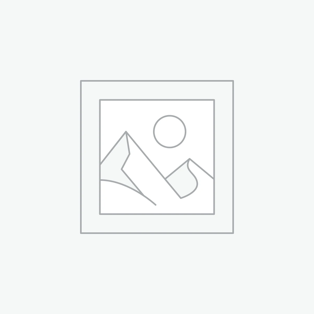 woocommerce-placeholder LED ZEPPELIN MOTHERSHIP